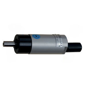 motor neumático con paleta