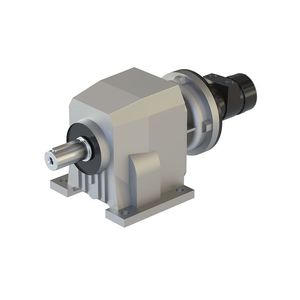 motor neumático de engranaje 1