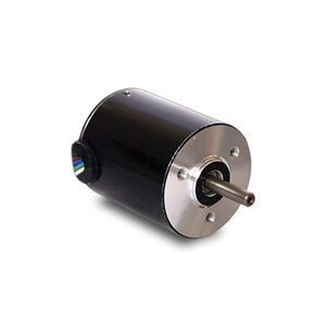 motor brushless 1