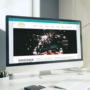 software resolutivo procesos basados en la web