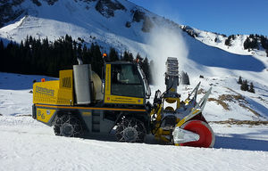 soplador de nieve 1