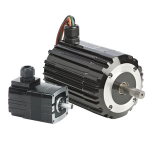 motor brushless