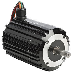 motor brushless 1