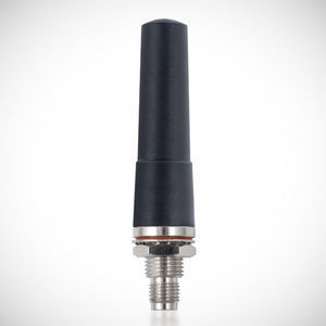 antena IP