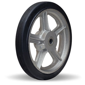 rueda con aro 1