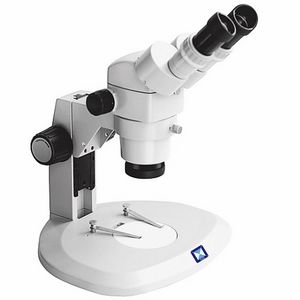 estereomicroscopio óptico 1