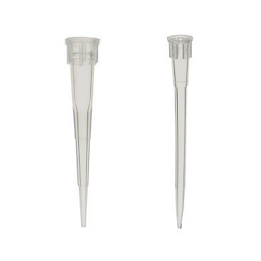 Punta de pipeta - TIPP series - LABBOX LABWARE S.L.