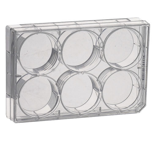 Microplaca para cultivo celular - CCPP series - LABBOX LABWARE S.L. - de 96 pozos / de 24 pozos / de 12 pozos