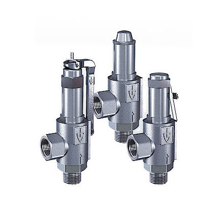 Válvula de seguridad para vapor - 461 series - Goetze KG - para gas / para aire comprimido / roscado
