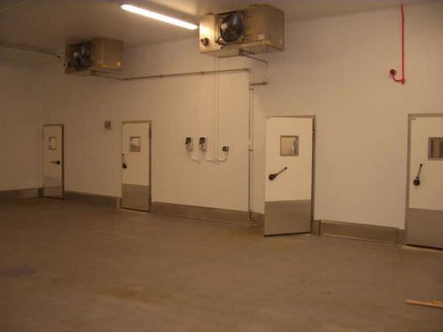 Puerta abatible - DT 250 - Dortek Ltd. - para cámara frigorífica / industrial / para congelador