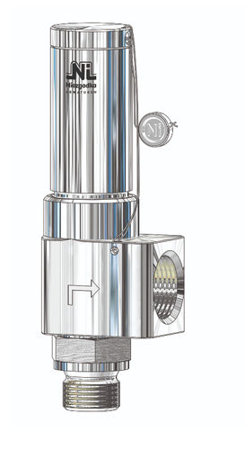 Válvula de seguridad de gas - Type 50 - Niezgodka GmbH - para vapor / aceite / compacto