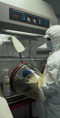 Aislador citotóxico estéril - Dastex - para sala blanca / clase ISO 5