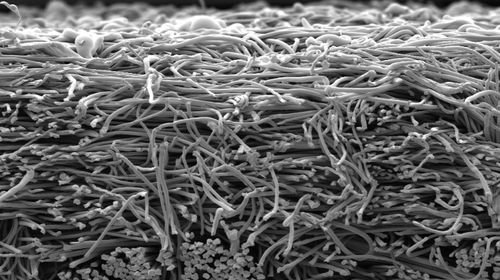 Materia filtrante de microfibra - MPS® - BWF Envirotec - de polvo
