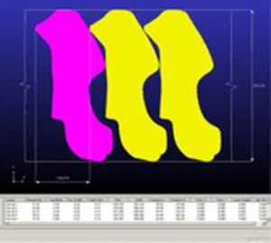 Software de nesting - BLANKNEST - FTI Forming Technologies Incorporated - de proceso