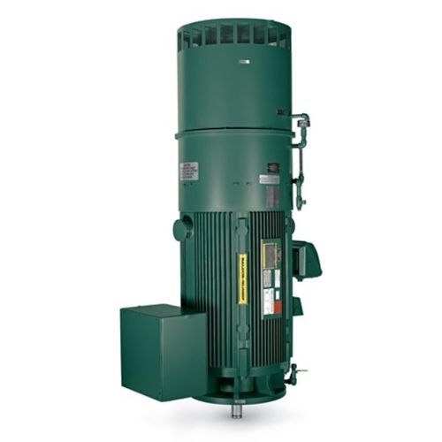 Motor vertical - G-Series - Baldor Electric Company - AC / de inducción / 460 V