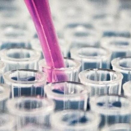 Aditivo para la industria farmacéutica - AW Celite® NF - Imerys Ceramics  - de diatomeas / de alta pureza