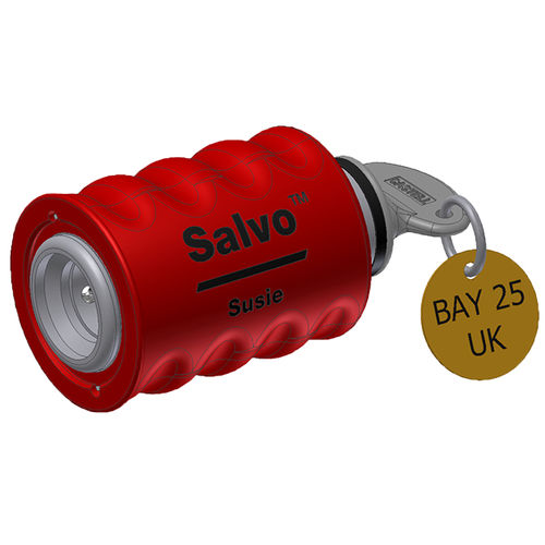 Cerradura de llave - Salvo Susie - CASTELL SAFETY INTERNATIONAL - para aplicaciones industriales