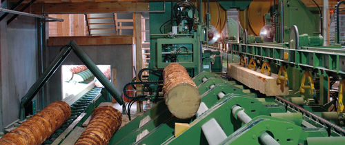 Sierra de cinta - RoboLine - EWD - para madera / de tronco / compacta