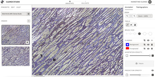 Software de análisis de imágenes - Clemex Technologies inc. - de creación / para microscopía / con análísis de imágenes por IA