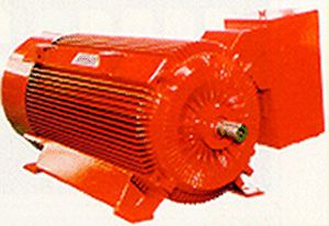 Motor de media tensión - EMG-EMCO - asíncrono / AC