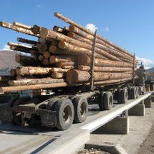 Báscula puente para camión - 7563 - METTLER TOLEDO - para vehículos / de acero / robusta