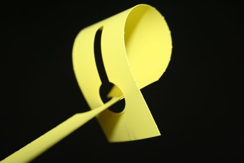 Etiqueta con bucle - ETIGO - de PVC