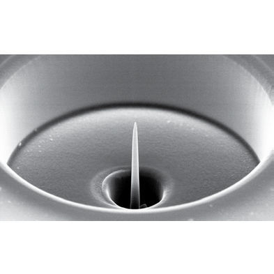Software de automatización - AutoScript 4  - THERMO FISHER SCIENTIFIC - MATERIALS SCIENCE - de imagen / de instrumental / SEM
