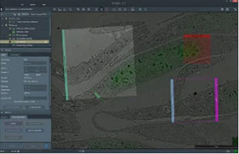 Software de automatización - Maps 3  - THERMO FISHER SCIENTIFIC - MATERIALS SCIENCE - de adquisición de datos / de colecta de datos / de análisis