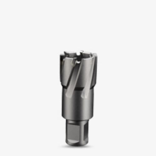 Fresa hueca de carburo - DNT series - ZhejiangXinxing Tools - Weldon