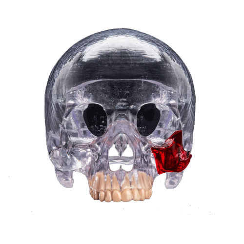 Resina para impresora 3D de polímero - PLASTCure Clear 200 - Prodways Tech - industrial / médica