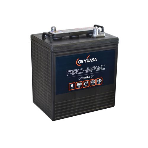 Batería AGM - DCB145-6(DT) - GS Yuasa - bloque / 6 V / para vehículo eléctrico