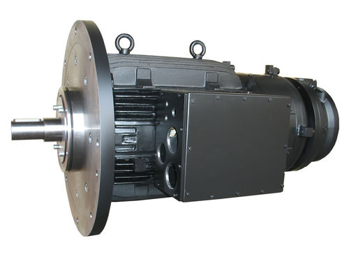 Motor síncrono - Winkelmann Elektromotoren GmbH & Co. KG - de corriente continua / de baja tensión