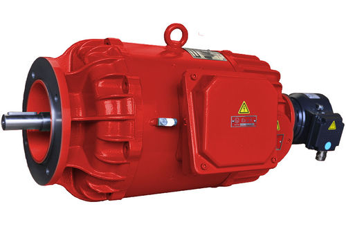 Motor síncrono - 2G, IC 410 - Winkelmann Elektromotoren GmbH & Co. KG - de corriente continua / 220V / de jaula de ardilla