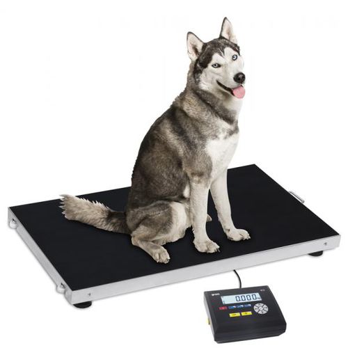 Balanza para animales - Gram Core Pluto - Gram Group - de plataforma / contadora / electrónica