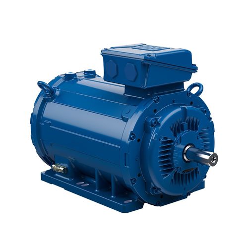 Motor trifásico - W22  - WEG Gear Systems GmbH - 690 V / de hierro fundido / pequeño