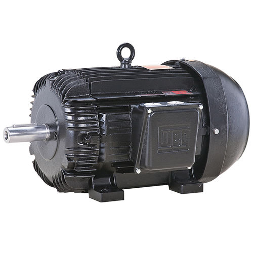 Alternador trifásico - G Truck - WEG Gear Systems GmbH - IP65 / de bomba / para gas