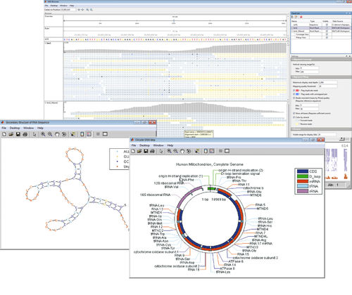 Software de visualización - Bioinformatics Toolbox™ - The MathWorks - de análisis / para espectrometría de masa