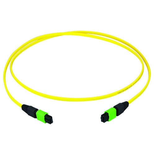 Cable de conexión de fibras ópticas - 100010911 - TELEGARTNER - OM4 / OM3 / de tipo MPO