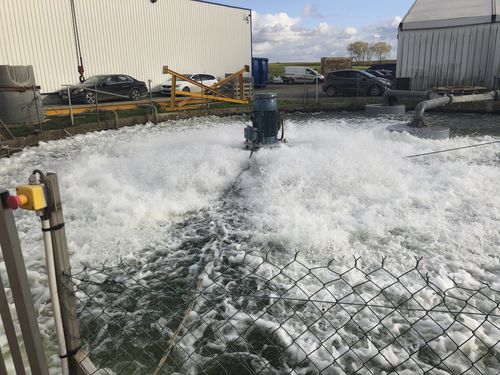 Aireador flotante - AQUAFEN® - EUROPELEC - de superficie / para tratamiento de aguas residuales / para estación depuradora