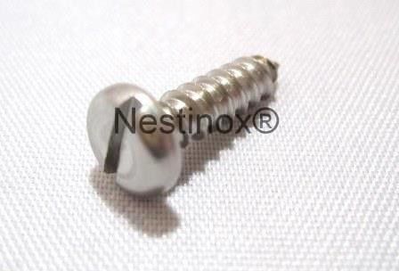 Tornillo de cabeza cilíndrica - Nestinox B.V. - ranurado / autorroscante