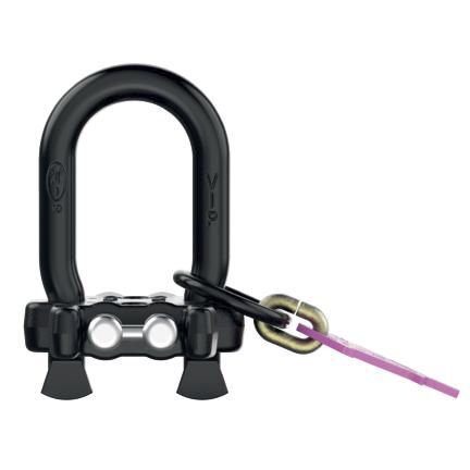 Anilla oval - VIP-Mini-Lifter - RUD