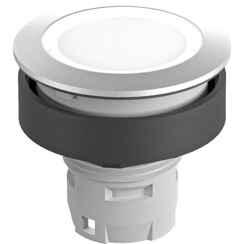 Botón pulsador IP65 - RONTRON-R-JUWEL RRJT - Georg Schlegel GmbH & Co. KG - IP69K / IP66 / con luz
