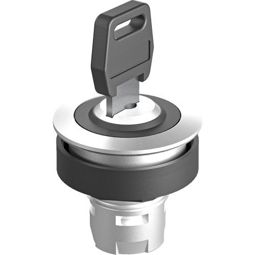 Conmutador de llave - RONTRON-R-JUWEL RRJSSA12 - Georg Schlegel GmbH & Co. KG - IP65 / no luminoso / de mando