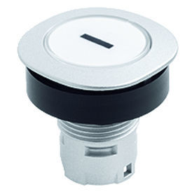 Botón pulsador IP65 - RONTRON-Q-JUWEL RQJT - Georg Schlegel GmbH & Co. KG - con luz