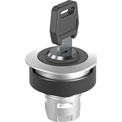 Conmutador de llave - RONTRON-Q-JUWEL RQJSSA12 - Georg Schlegel GmbH & Co. KG - IP65 / montado en panel / con luz