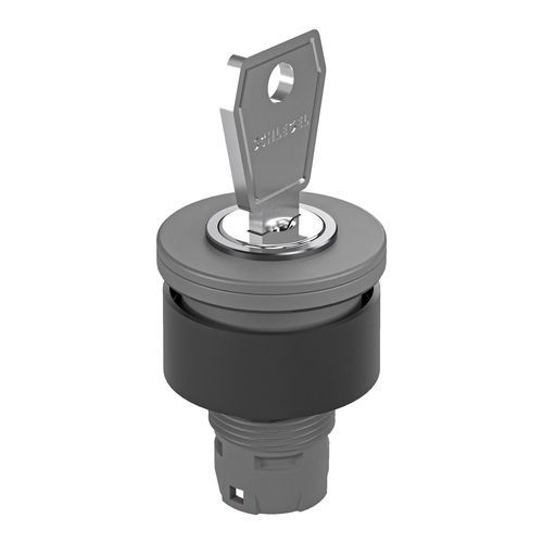 Conmutador de llave - RX-JUWEL RXJSSA12E - Georg Schlegel GmbH & Co. KG - IP65 / montado en panel / no luminoso