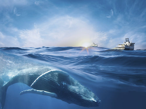 Sistema de supervisión marino - QuietSea™ - Sercel Inc.