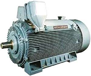 Motor asíncrono - Schorch - AC / para aplicaciones marinas / de alta velocidad