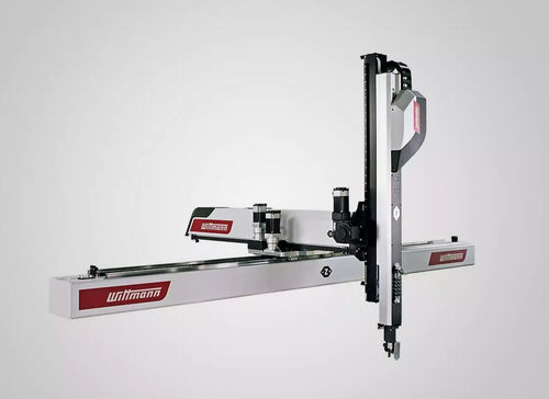 Robot cartesiano - Primus series - WITTMANN - 3 ejes