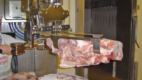 Manipulador neumático - DALMEC - con asidero / de manipulación / para carne
